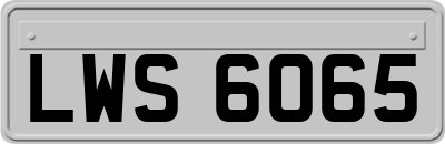 LWS6065