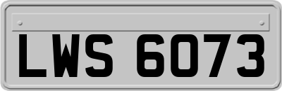 LWS6073