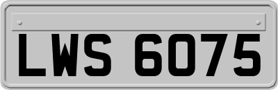 LWS6075