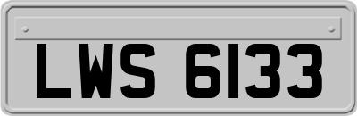 LWS6133