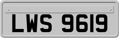 LWS9619