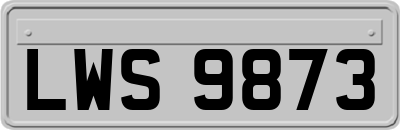 LWS9873