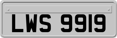 LWS9919