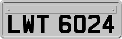 LWT6024