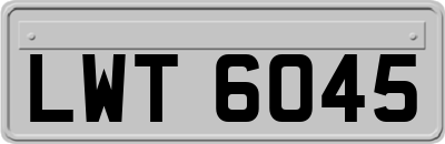 LWT6045