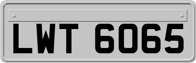 LWT6065