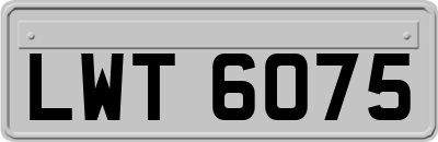 LWT6075