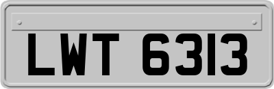 LWT6313