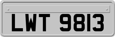 LWT9813