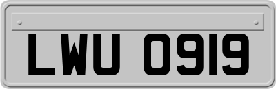 LWU0919