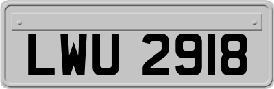 LWU2918