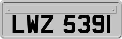 LWZ5391