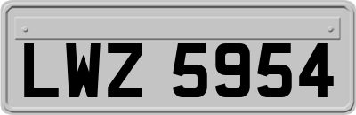 LWZ5954