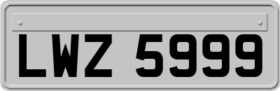 LWZ5999