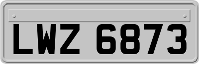 LWZ6873