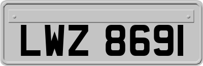 LWZ8691