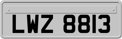 LWZ8813