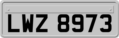 LWZ8973