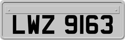 LWZ9163