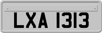 LXA1313