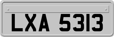 LXA5313