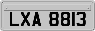 LXA8813