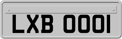 LXB0001