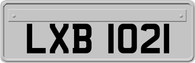 LXB1021