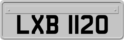 LXB1120