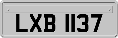 LXB1137