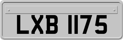 LXB1175