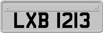 LXB1213