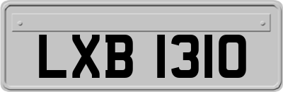 LXB1310