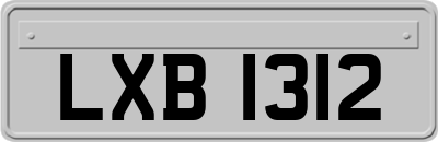 LXB1312