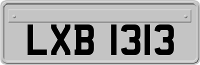 LXB1313