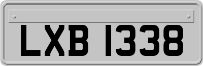 LXB1338