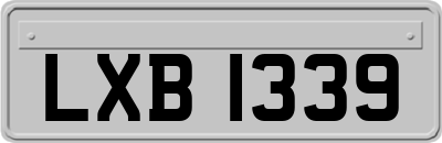LXB1339