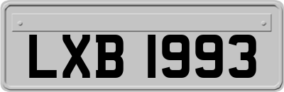 LXB1993