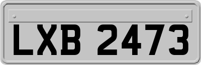 LXB2473