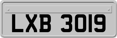 LXB3019