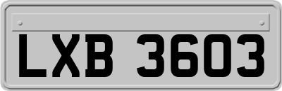 LXB3603