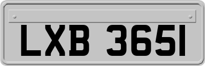 LXB3651