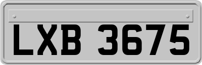 LXB3675