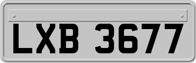 LXB3677