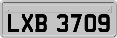 LXB3709