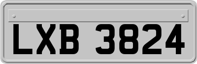 LXB3824
