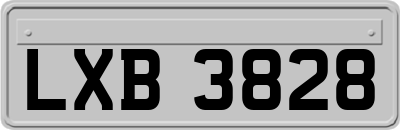 LXB3828