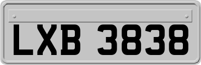 LXB3838