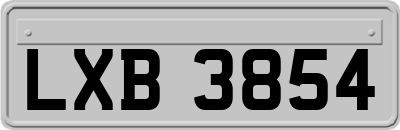 LXB3854