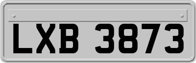 LXB3873